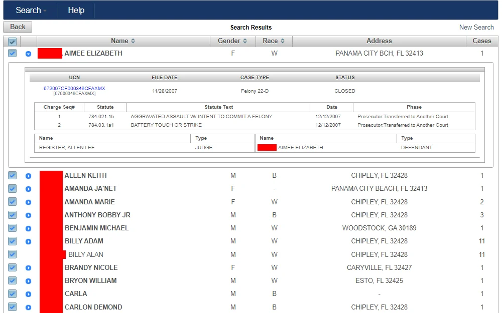 A screenshot of sample results from the search done through the Online Court Records Search tool listing the names in the cases, their gender, race, addresses, and the number of cases they have.